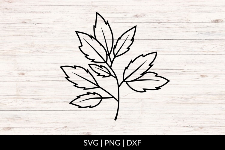 Autumn Leaf Svg Image 12