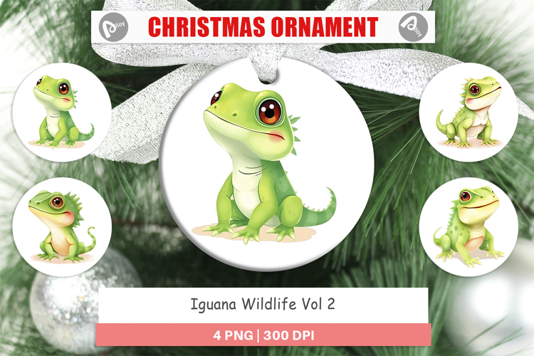 Ornament Iguana Wildlife