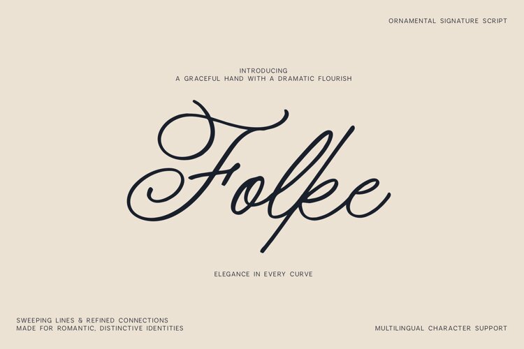Folke Ornamental Signature Script Font example image 1