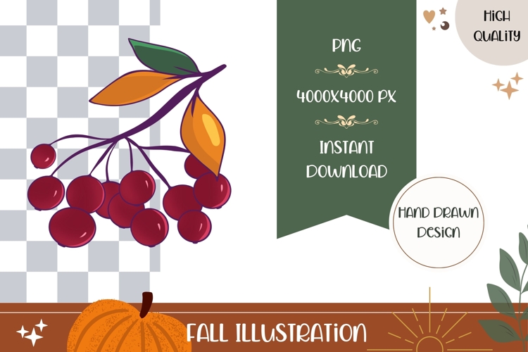Rowan Berries Illustration, Rowan PNG, Fall Sublimation
