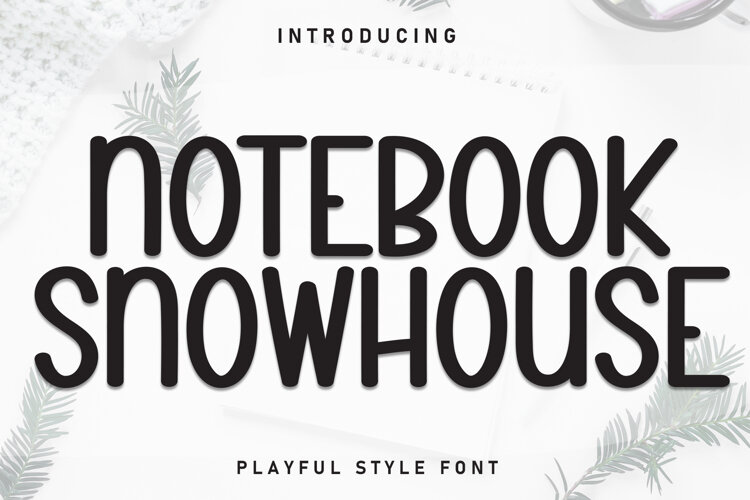 Notebook Snowhouse example image 1