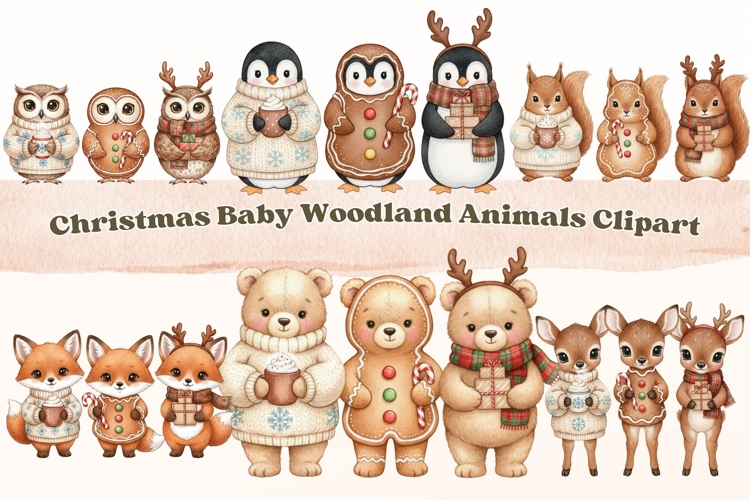 Christmas Baby Woodland Watercolor Animals Clipart