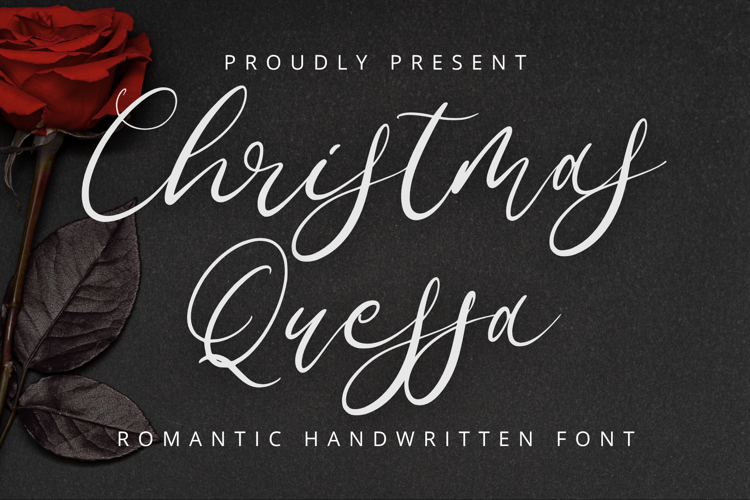Christmas Quessa example image 1