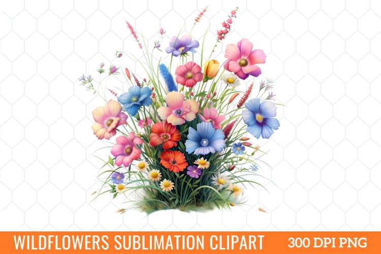 Mouse Clipart Image 18