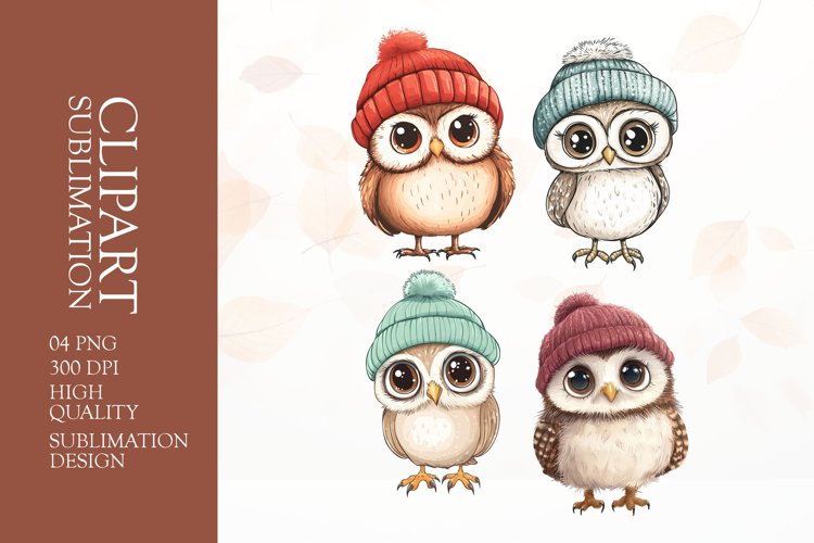 Owl Illustration Image 21