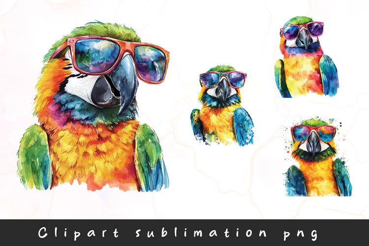 Parrot Clipart Image 17