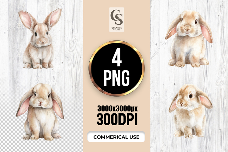 Bunny Png Image 7