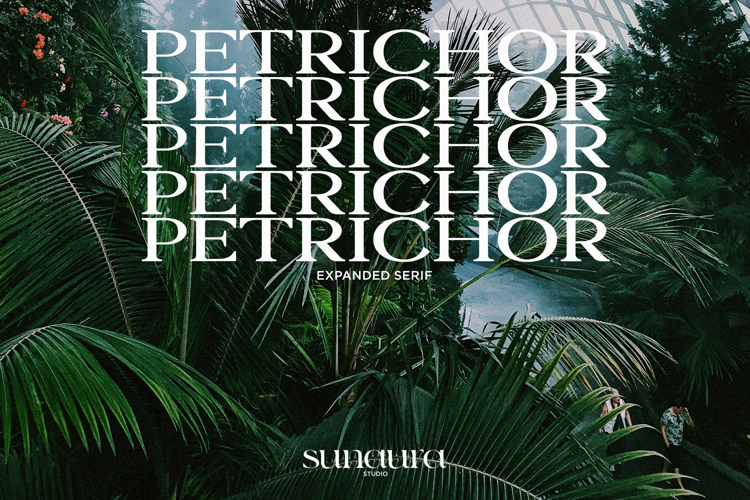 Petrichor - Expanded Serif