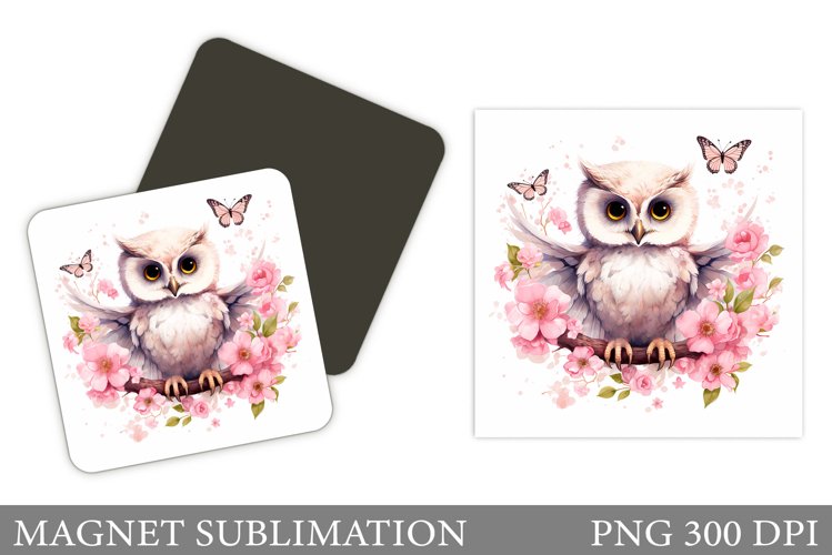 Owl Clipart Image 24
