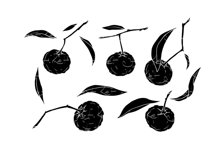Fruit Doodle Image 13