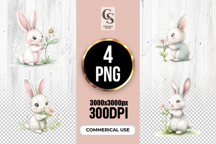 Rabbit Png Image 24