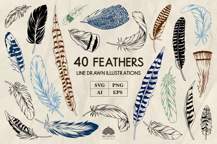 Feathers Clipart Image 8