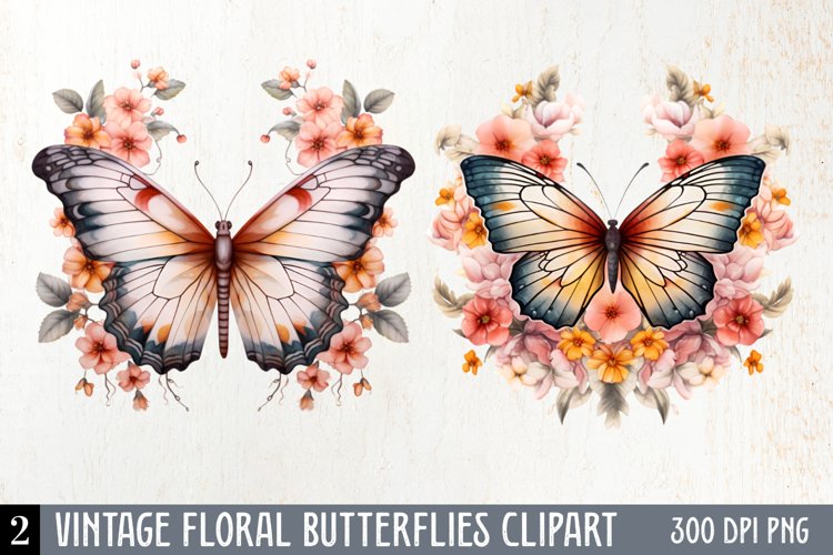 Butterfly Clipart Image 18