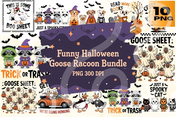 Raccoon Png Image 10