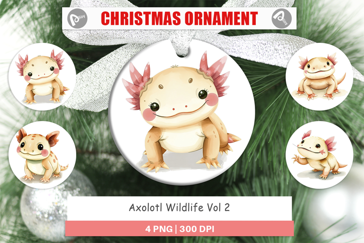Ornament Axolotl Wildlife