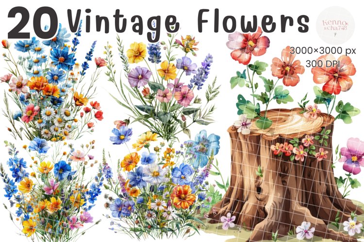 Vintage Flower Illustration Image 9