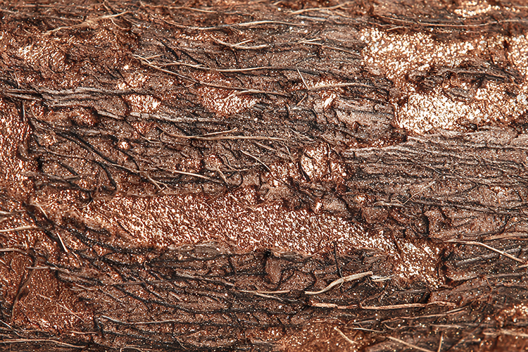 Rustic Texture Image 2