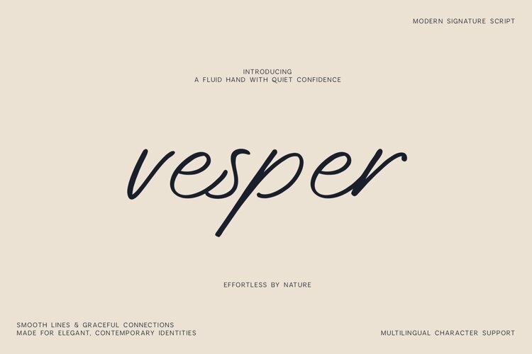 Vesper Modern Signature Script Font example image 1