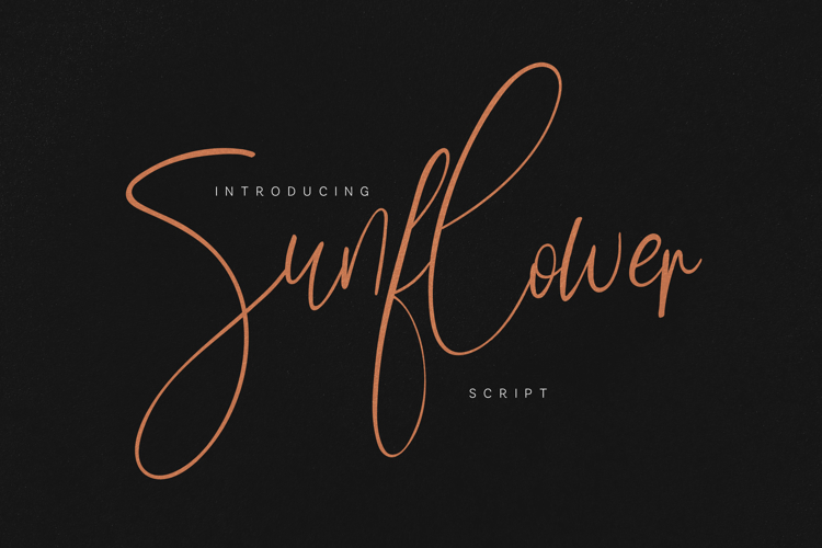 Branding Font Image 11