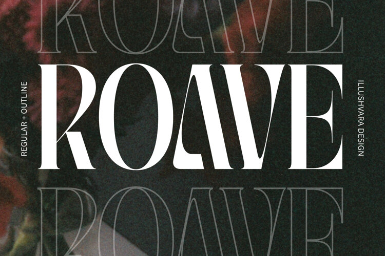 Roave - Modern Elegant Serif Font example image 1