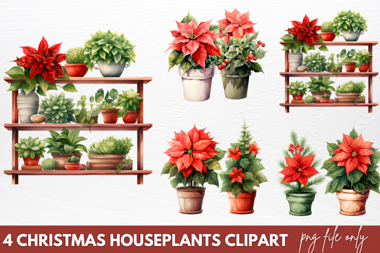 Christmas Houseplants Clipart PNG