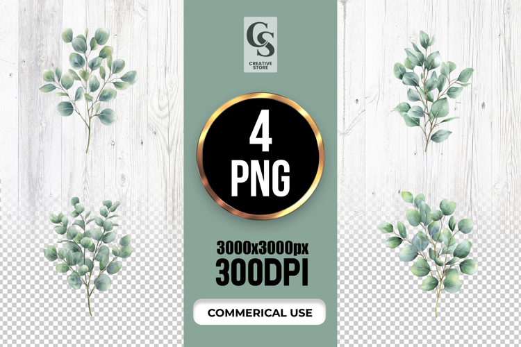 Eucalyptus Clipart Image 3