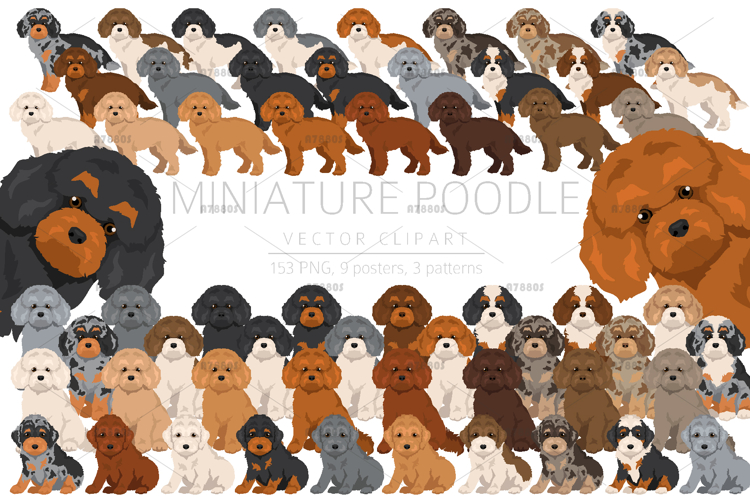 Puppy Illustration Image 18