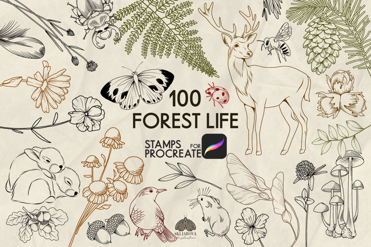 Forest Life Procreate stamp brushes