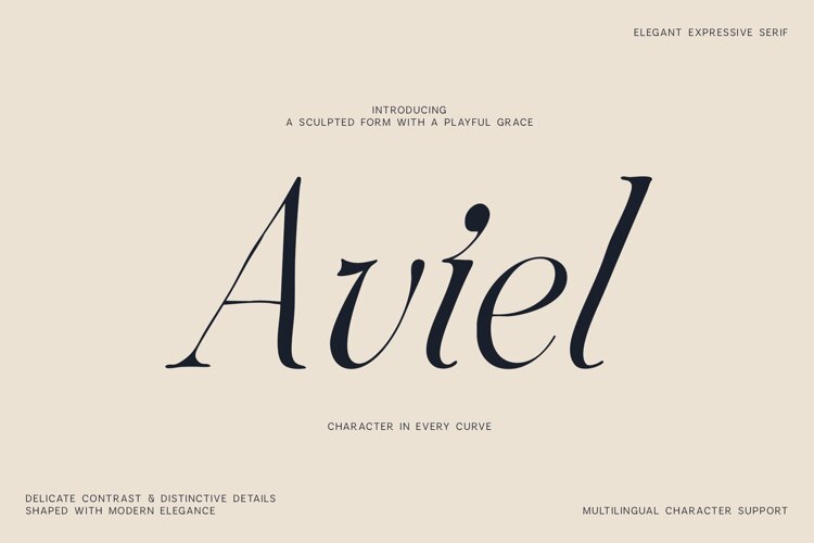 Aviel Elegant Expressive Serif Font example image 1