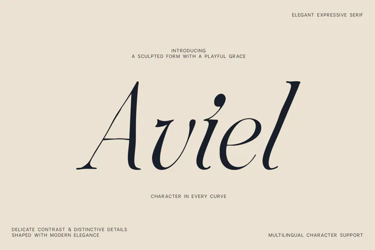 Aviel Elegant Expressive Serif Font