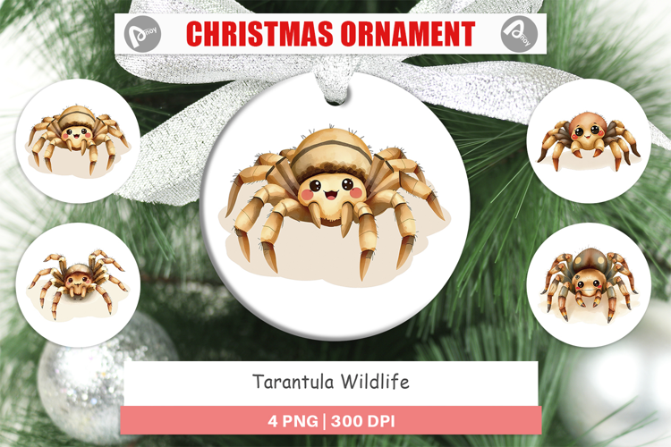 Ornament Tarantula Wildlife