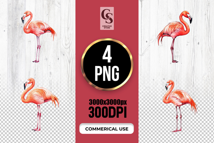 Flamingo Png