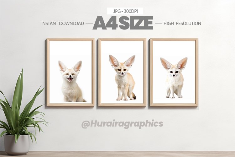 Animal Wall Art - 03 Variations