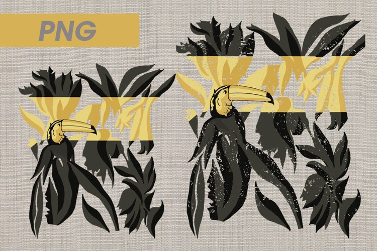 Bird PNG Image 24