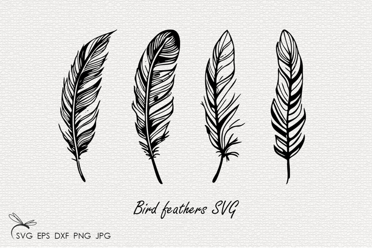 Bird feathers SVG Files
