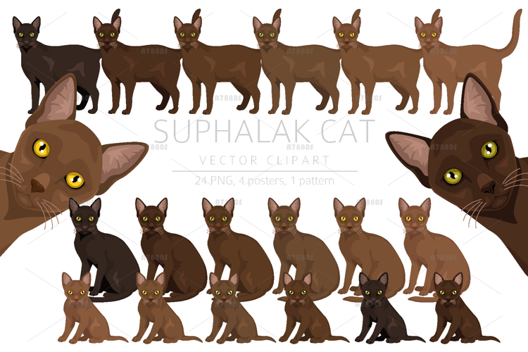 Cat Clipart Image 11