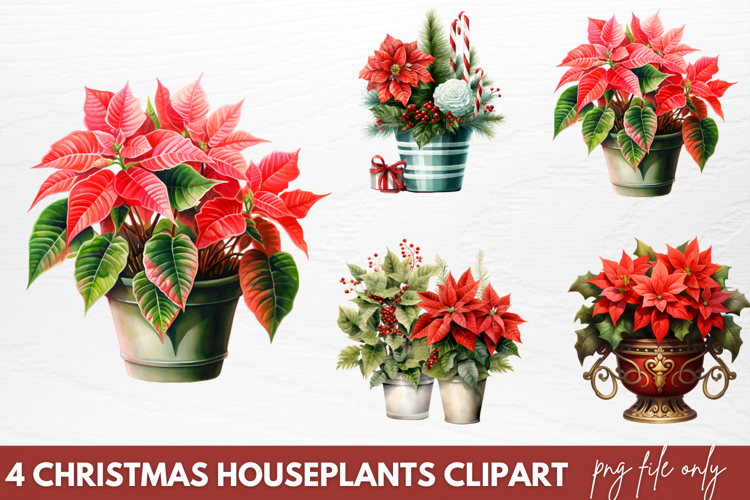 Christmas Houseplants Clipart PNG