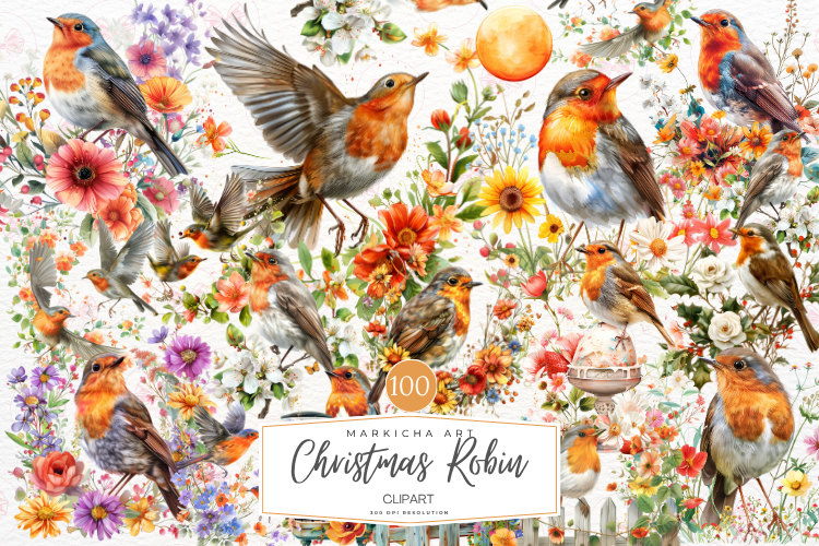 Christmas Robin Bird Clipart Bundle