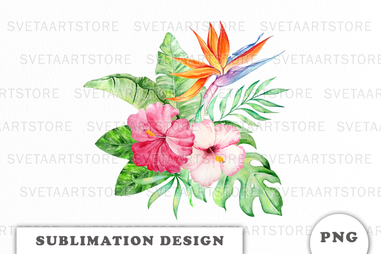 Plumeria Clipart Image 15