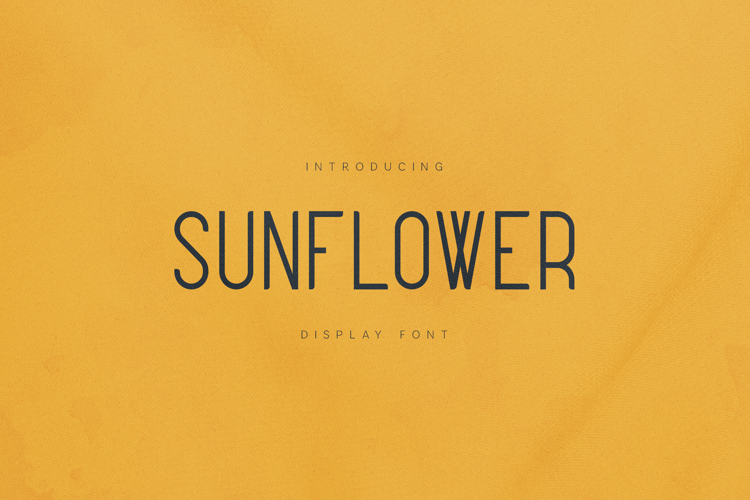 Sunflower Warm Minimal Display Sans Serif Font