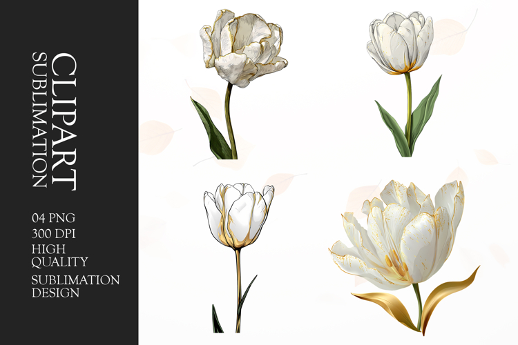 Floral Png Image 13
