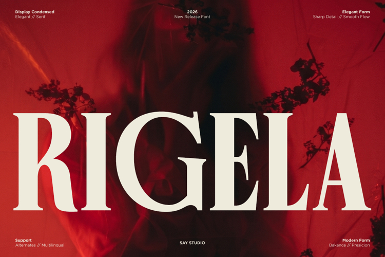 Magazine Fonts