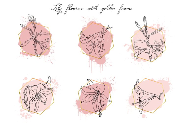 Plants Doodle Image 17