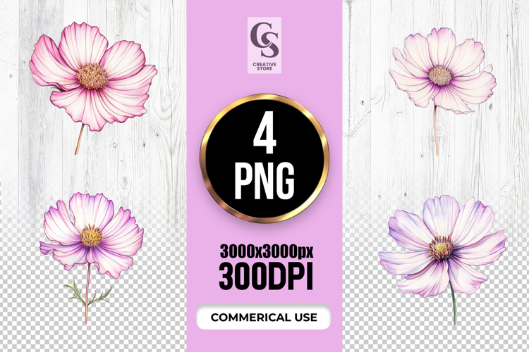 Pink Cosmos Flower Botanical Clipart Sublimation PNG