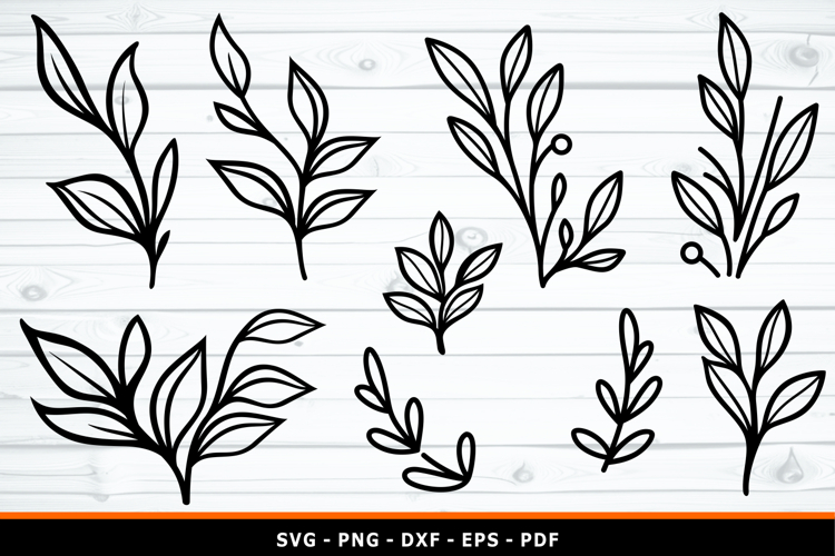 Leaf Outline SVG, Leaves SVG, Branches SVG, Botanical
