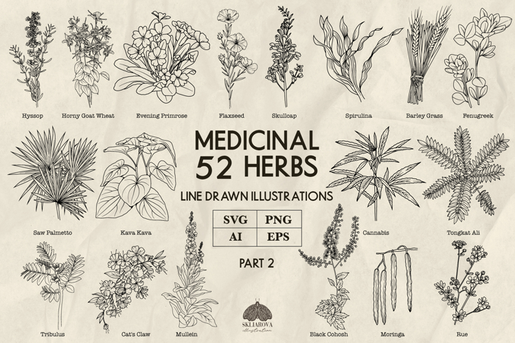 Medicinal herbs Part 2 Svg Png Eps