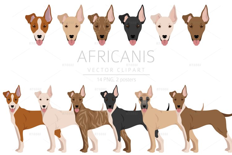 Africanis clipart example image 1