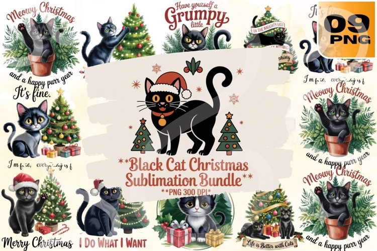 Black Cat Png Image 16