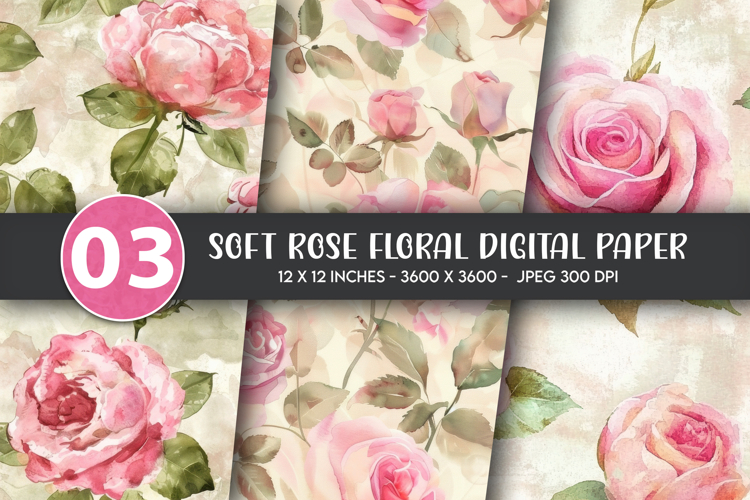 Rose Background Image 9