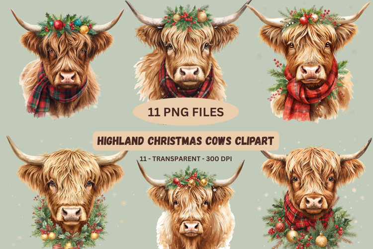 Highland Cow Png Image 12